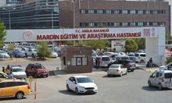 Mardin'de iki aile arasında taşlı, sopalı kavga: 8 yaralı