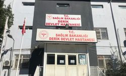 Mardin'de silahlı kavga