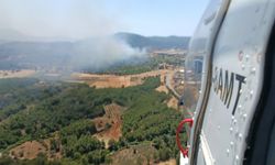 Muğla'da orman yangını