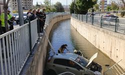 Otomobil, sulama kanalına düştü