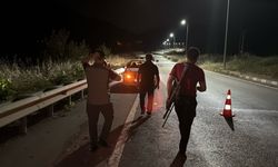Otomobilin çarptığı bozayı, kaçarken çaya düştü