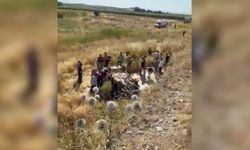 Şanlıurfa'da feci kaza; 1 ölü, 4 yaralı