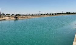 Şanlıurfa'da sulama kanalında ceset ihbarı