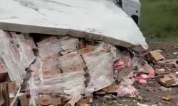 Tavuk eti yüklü TIR şarampole devrildi