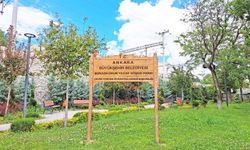 Okurun sesi yeşil alana dönüştü