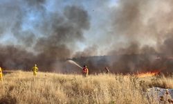 Adıyaman'da dere kenarında ot yangını