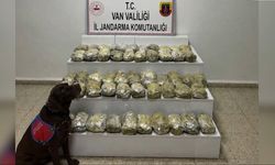 24 ilde uyuşturucu operasyonu