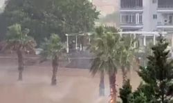 Ağaca yıldırım düştü