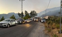 Alanya'daki Orman Yangını Büyüyor: Alevler İkinci Mahalleye Sıçradı