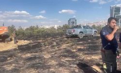 Ankara'da ODTÜ Ormanı'nda yangın