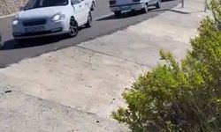 Antalya'da kamyonet, uçuruma yuvarlandı