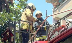 Avcılar'da balkonda mahsur kalan güvercini itfaiye kurtardı