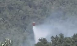 Bodrum'da Orman Yangını!