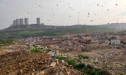 Çevreyi kirleten işletmelere ceza