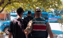 Çobanları silahla tehdit edip 800 küçükbaşı çaldılar