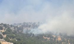 Çüngüş'te Örtü Yangınına Ekiplerin Müdahalesi Devam Ediyor