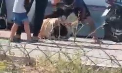 Eşini Çocuklarının Gözü Önünde Darp Etti
