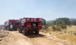 Gaziantep'te orman yangını