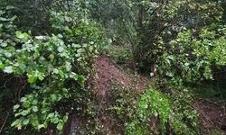 Giresun'da heyelanda kaya parçası eve isabet etti