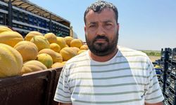 Hatay'ın Meşhur Kırıkhan Kavununda Hasat Bereketi! İlk Ürünler Yüksek Fiyattan Satıldı