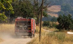 İspanya'da 12 bin hektar alan yandı