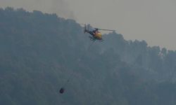 İspanya'da orman yangını faciası: 11 kişi hayatını kaybetti