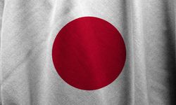 Japonya'da ahşap evde yangın çıktı