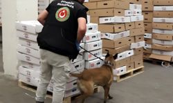 Kapıkule'de TIR'da 526 kilo uyuşturucu yakalandı