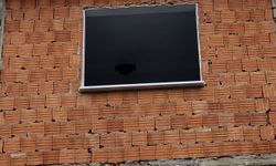 Kuş Yavruları İçin İnşaatı Durdurdu