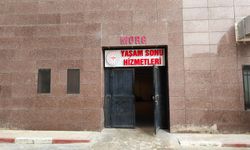 Mardin'deki Feci Kazada Can Kaybı 3'e Yükseldi