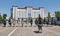 NATO Zirvesi öncesi Ankara'da atlı polisler görevde!