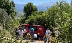 Otomobil, bağ evine daldı