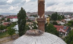 Patnos'ta leylekler bu yıl yuvalarına geç döndü