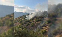 Pütürge'deki Orman Yangını 21 Saatlik Mücadelenin Ardından Kontrol Altına Alındı