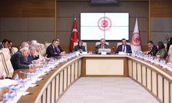 TBMM Komisyonu'nda dikkat çeken silah çağrısı: "Bireysel silahlanmaya sınır getirilmeli"