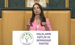 "Temmuz ayında çerçeve yasayı çıkaralım"