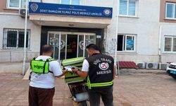 Trafikte yumruklu kavga pahalıya patladı: 362 bin liralık ceza