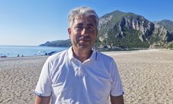 Yavru deniz kaplumbağalarının zorlu yolculuğu başladı