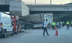 Bursa'da tavuk eti yüklü TIR köprü duvarına çarptı: Sürücü yaşamını yitirdi