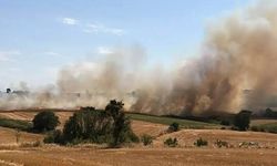 Biga’da tarım arazisinde yangın: Kara yolu ulaşıma kapatıldı