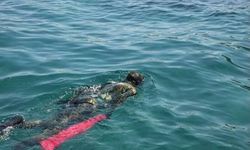 Bodrum'da denizden 410 kilogram atık çıkarıldı
