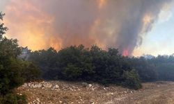 Eskişehir'deki Yangın Kontrol Altına Alındı