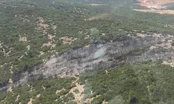 Muğla'da maki yangını; alevlerden kaçan kaplumbağa taşların arasına sığındı