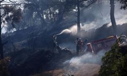 Muğla'da Orman Yangını Devam Ediyor!
