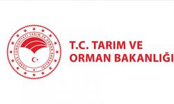 Tarım ve Orman Bakanlığı Açıkladı! Kaç Personel Alınacak?