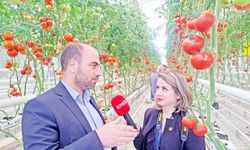 Hidrojenli Sera Projesi Türkiye’ye örnek oldu