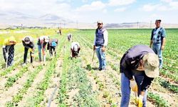 İSAF’tan Yaz Sıcağı Alarmı: Çalışan Sağlığı İhmal Edilmemeli