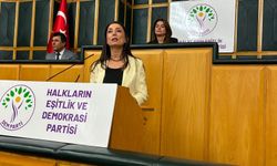 DEM YENİ Parti'ye Hoş Geldiniz Dedi
