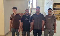4 düzensiz göçmen yakalandı