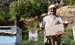 Arıcılık mesleğini 51 yıldır yapıyor